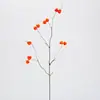 Linterna de Fruta de Árbol Artificial Lannatree Ramas de Fruta Estilo Wabi-Sabi para Paisajismo Artístico, Decoración del Hogar, Flores Artificiales, Ramos de Flores Secas, Accesorios de Fotografía