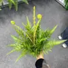 Plantas verdes artificiales en stock, manojos de helecho, hojas de helecho, hierba de helecho para decoración de paredes interiores y diseño de paisajes, césped artificial al por mayor