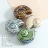 Cuentas sueltas de cerámica de animales marinos, concha, caracola, estrella de mar, cuentas para ensartar, accesorios para manualidades, agujero recto, accesorios de ropa hechos a mano, cuentas de porcelana