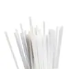 Varilla de Nylon Resistente al Desgaste Blanca Pa6 Varilla Pequeña Varilla Delgada Varilla de Plástico Varilla Redonda Varilla Pura 3 4 5 6 8 10 12 15 mm