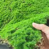 Grama de musgo artificial para decoração de paisagismo interno, musgo falso versátil para bonsai, superfície com flocagem para micro paisagismo, parede de plantas verdes