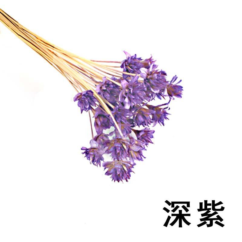 永生花深紫.jpg
