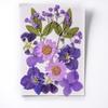 Marcador de página de flor material diy marcador de página artesanal diy bambu flor seca ferramenta de relevo saco de material para marcador de página de jardim de infância