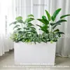 [Serie Q] Combinación de Decoración de Paisajismo con Plantas Verdes Simuladas Planta Tropical Divisor Macetero Maceta Decoración de Paisaje