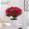 Planta de Azalea en Maceta con Capullos de Flor, Planta Grande Madura, Florece Todo el Año, Adecuada para Balcón y Visualización en Interiores, Planta Perenne Verde