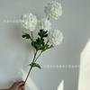 Em estoque nova flor artificial 4 cabeças crisântemo colorido crisântemo ocidental crisântemo europeu flor decorativa para salão de casamento comércio exterior