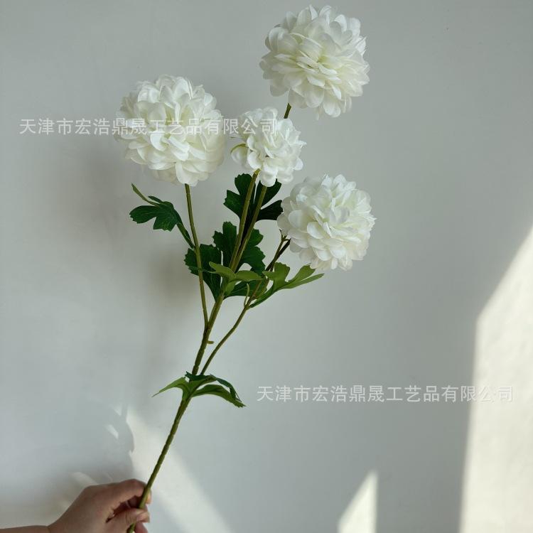 微信图片_20230913151905_副本