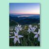 ¡Super Bonito!! Versión sin marca de agua Pintura de póster de fotografía de paisaje extranjero Vida ideal Pintura de decoración de escritorio
