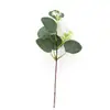 Ramo Único de Folhas de Eucalipto com Frutos, Decoração para Arranjo de Flores DIY, Folhas de Dinheiro Artificiais, Folhas Decorativas de Eucalipto com Frutos para Vendas Transfronteiriças