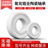 Rodamientos de Cerámica Integral de Circonio Importados de Japón 623 624 625 626 627 628 629Ce Resistentes a la Corrosión