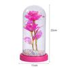 Cubierta de cristal con flor eterna, venta al por mayor, nuevo regalo creativo, adornos de escritorio con rosas, cadena de luces LED de colores, luz nocturna