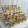 Flores de Hilo Tejidas Girasol Lirio del Valle Tulipán Decoración de Escritorio Coche Oficina Regalo Planta en Maceta Flor Artificial
