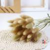 Coelho cauda grama buquê de flores secas flor material photo frame decoração diy material eterno flor rabo de cachorro grama atacado adereços de tiro