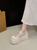 Zapatos Mary Jane de Malla Transpirable para Mujeres Pequeñas, Novedad Verano 2026 Estilo Francés Zapatos Birkenstock de Plataforma con Suela Gruesa
