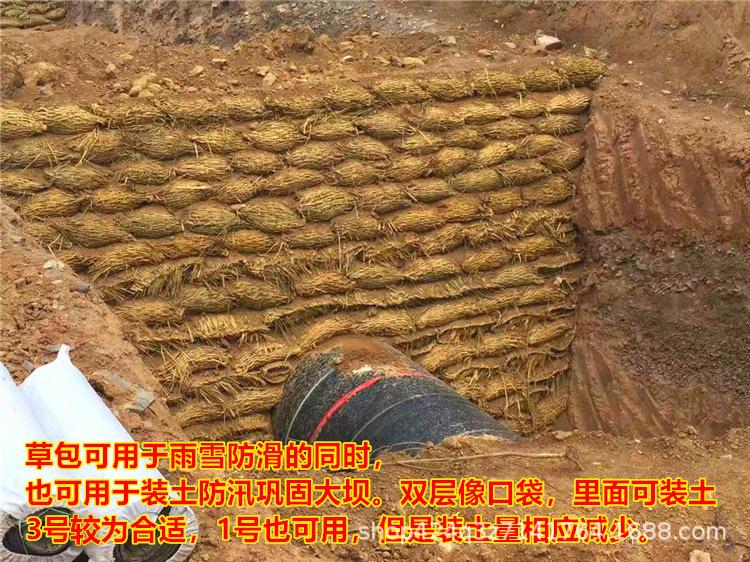 防汛草.jpg