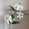 Plantas Verdes Artificiais para Casamento, Grama Aspargo Verde Estilo Floresta, Flores Artificiais Verdes, Materiais Florais Artificiais para Casamento, Série de Decoração para Salão de Casamento
