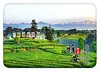 Imán de Refrigerador de Vidrio Paisaje de Ya'an Campos de Té de la Montaña Mengding Casas de Pingchuan Campos Campo de Souvenir Adorno Decorativo Magnético Cultural y Creativo