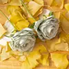 Flor Artificial Rosa Única Edgar Planta Verde Atacado Decoração de Casamento Artesanato Flor Artificial Estilo Ins