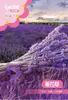 Sementes de lavanda para vasos, florescem em todas as estações, fáceis de cuidar, ideais para varandas e pátios, repelindo mosquitos.