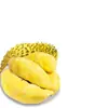 Almofada Dourada Tailandesa Carne de Durian Semente Importada Sem Caroço Congelado Frio Fruta Fresca Amadurecida na Árvore SF Express Frete Grátis Comercial