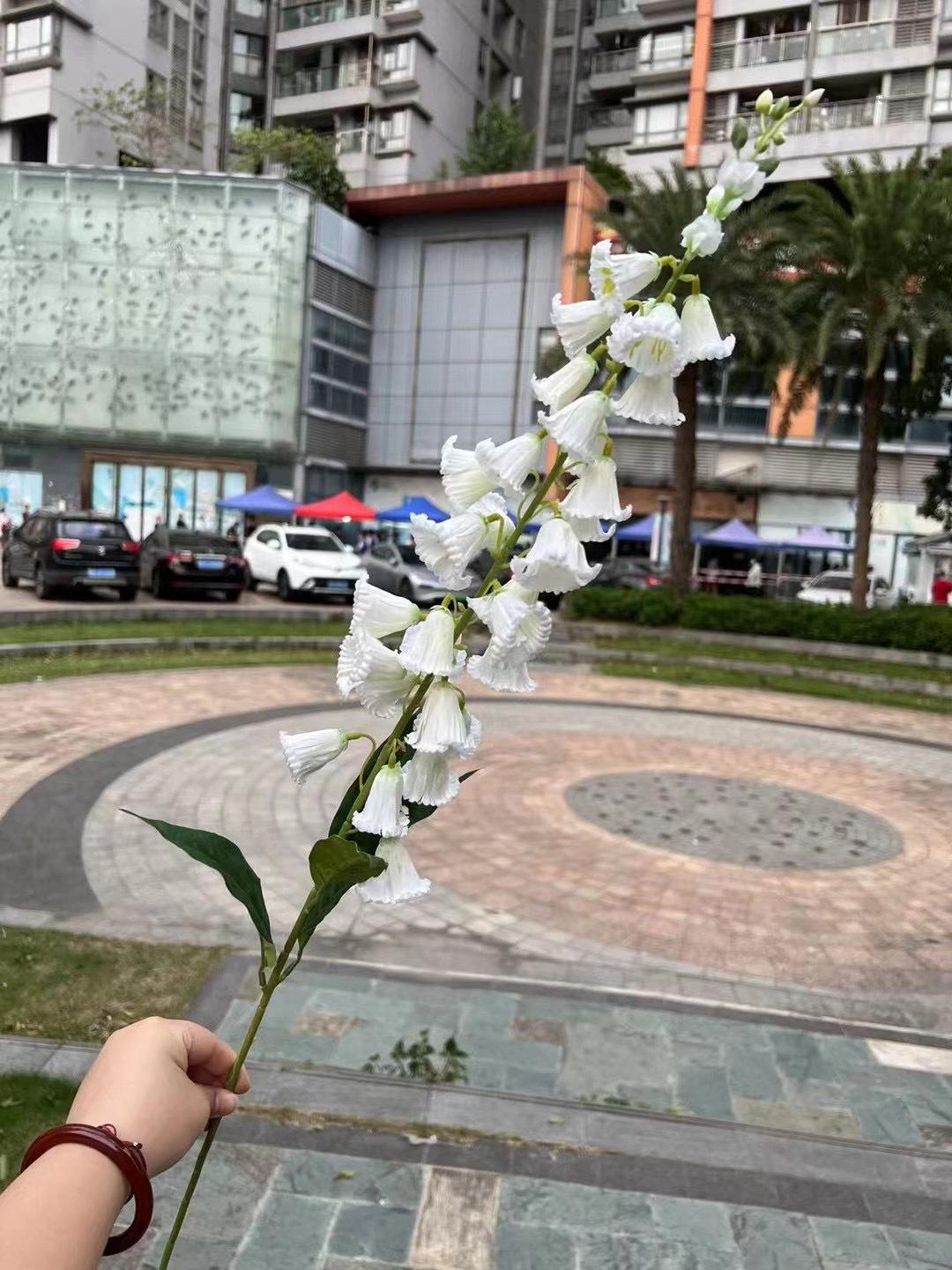 微信图片_20240818143639.jpg