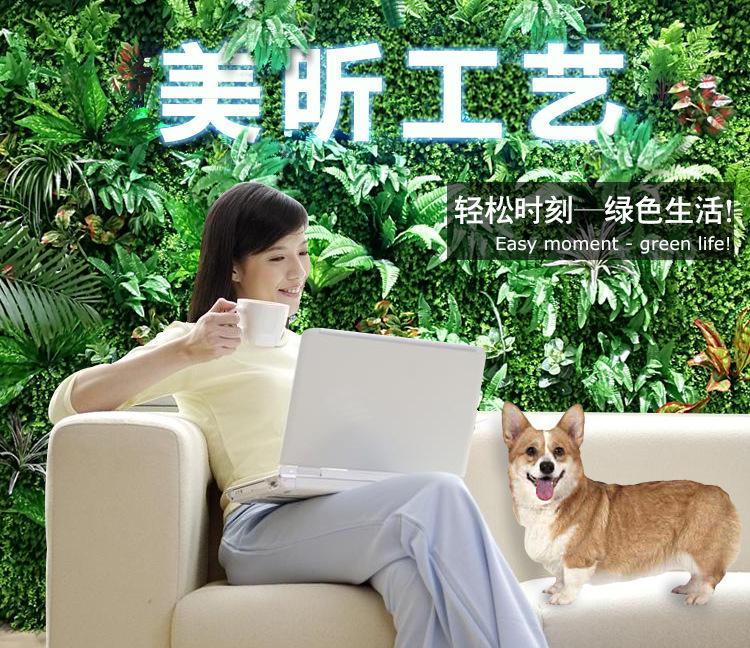 详情_01