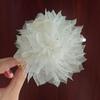 Popular Pinza para el Cabello de Plumas Florales, Tamaño Mediano, Aspecto de Alta Gama, Elegante Pasador para la Parte Posterior de la Cabeza, Pinza para el Cabello para Mujer