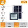 Foco Solar de Tipo Lente Control Remoto Foco de Alta Potencia Panel de Luz de Jardín Luz de Calle Exterior