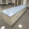 Mesa Auxiliar de Laboratorio, Mesa Experimental Completamente de Acero, Mesa de Operaciones de Soporte para Campana de Extracción, Mobiliario Especial para Instituciones de Investigación Científica