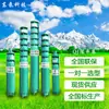 Bomba Eléctrica Sumergible Multietapa para Pozos Profundos Qj de Shandong Dongpump, Bomba de Alto Levantamiento para Riego Agrícola, Suministro del Fabricante