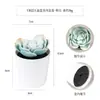Más de 100 Tipos de Combinaciones de Plantas Suculentas Mini de Plástico Simuladas en Maceta, Mini Bonsáis Suculentos Más Vendidos Transfronterizos, Decoración para el Hogar, Adornos Creativos