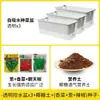 Maceta Rectangular de Autorriego para Uso Doméstico para Cultivar Cebollas, Maceta Pequeña para Cebollas de Balcón con Tierra, Maceta para Verduras con Pintura Colorida