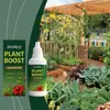 Solución Nutritiva para Plantas Moonspry para el Mantenimiento Diario de Flores en Maceta de Jardín y el Sistema Radicular de las Plantas