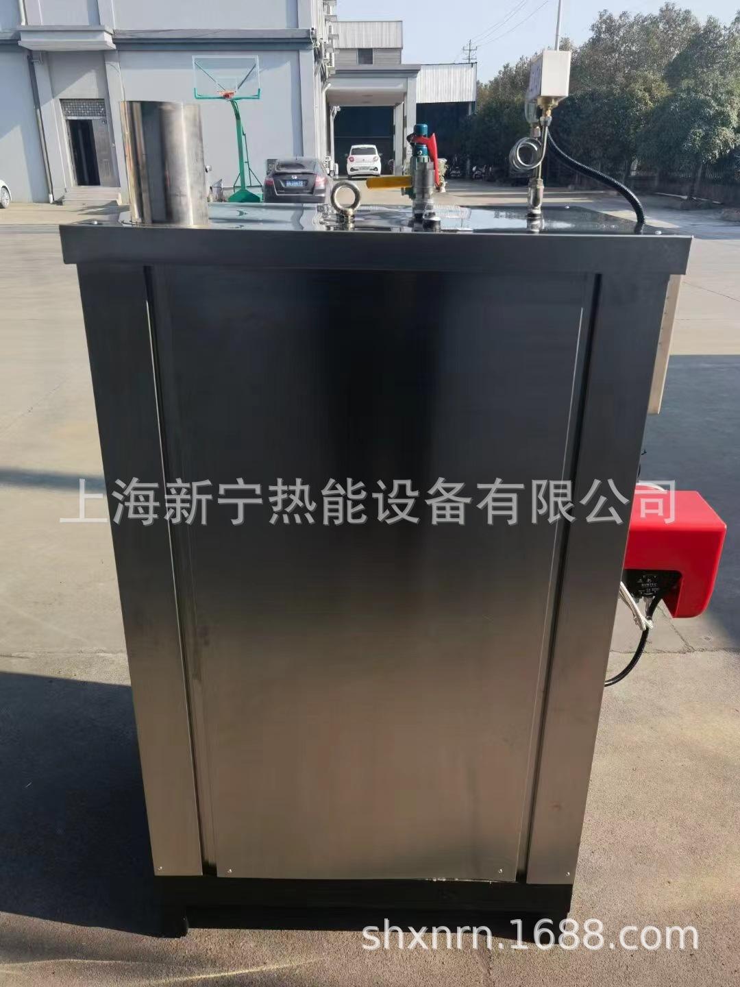 新宁燃油燃气蒸汽发生器 (7).jpg