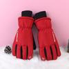Luvas de inverno masculinas e femininas com tela sensível ao toque, forradas com fleece, espessadas, quentes, à prova d'água, à prova de vento, para uso externo, para casais, à prova de frio, para andar de carro elétrico
