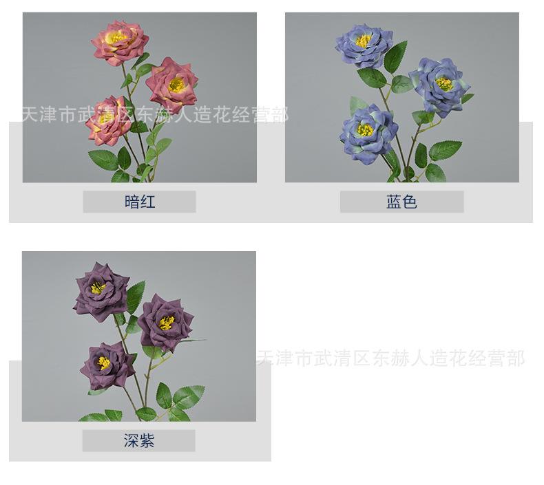 详情_04.jpg