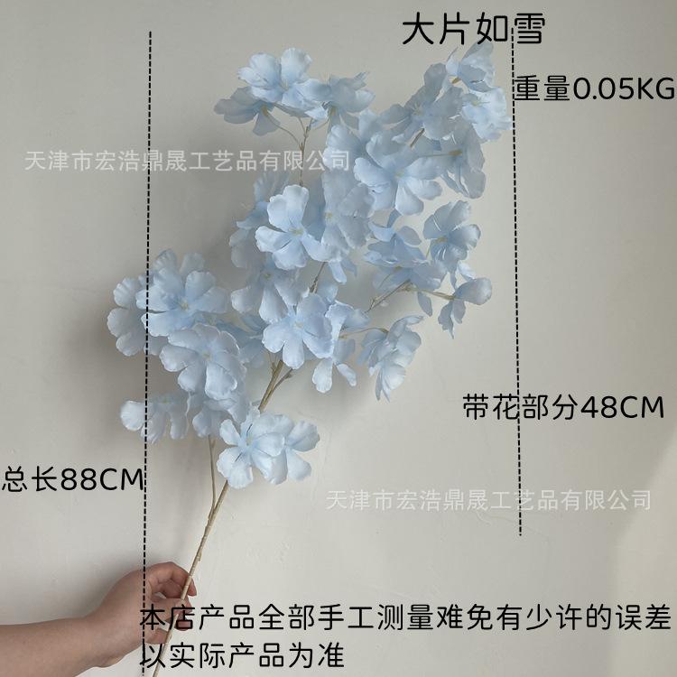 尺寸图
