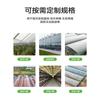 Engenharia Agrícola Estufa Inteligente Fruticultura Floricultura Multi-Vão Turístico Estrutura Galvanizada a Quente Tubo Personalização