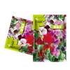 Proveedor Suministra Semillas de Flor Guisante de Olor, Semillas de Flor Aromática, Paisaje de Balcón Empaque Original Colorido Semillas de Flor al Mayoreo