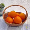 Cesta de Frutas de Mimbre Sintético, Cesta de Verduras, Cesta Reforzada para Recolección en Jardín, Cesta de Flores, Cesta Tejida de Plástico, Cesta para Exhibición, Cesta de Compras Portátil