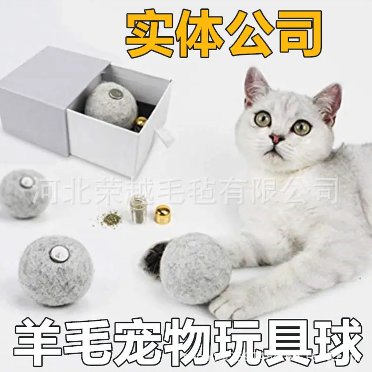 51Cy6DCUtvL._SX466__副本