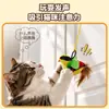 Pássaro Gato Engraçado Cabeça de Reposição Chamada de Pássaro Lagarta Gato Engraçado Vara Moagem e Mastigação Brinquedo para Gato Brinquedo de Erva-do-Gato