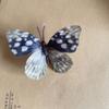 Mariposa Pequeña Simulada Individual al por Mayor Mariposa Simulada Pared Decoración DIY Atmósfera Estéreo Mariposa Se Puede Enviar en Nombre de Otros