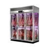 Vitrina para Embutidos, Vitrina Colgante Refrigerada por Aire sin Escarcha para Carnes, Vitrina Congelador Vertical de Temperatura Ultrabaja, Vitrina Colgante para Conservación de Frescura