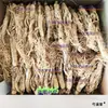 Ginseng da Montanha Changbai, Ginseng Selvagem, Ginseng Seco ao Sol da Vida Tríplice do Nordeste, Ginseng Branco da Floresta, Ginseng de Múltiplas Especificações, Raiz Inteira