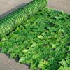 Cerca de simulação Cerca de folhas Cerca artificial Rede de simulação Planta Folha verde Cerca decorativa Cerca
