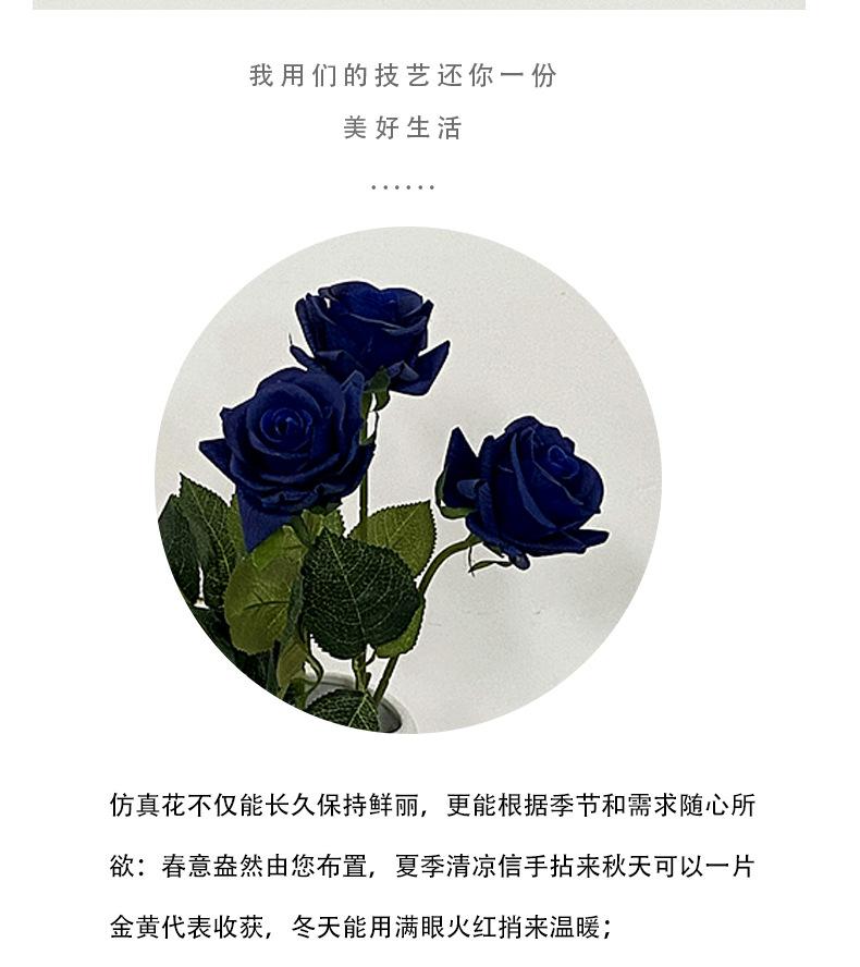 保湿玫瑰_02.jpg