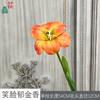 Tulipa Sorridente Narcisos Decoração de Casa Sala de Estar Interna Flor de Seda Beleza Comercial Chen Decoração de Fotografia Flor Artificial