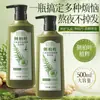 500ml Grande Capacidade Tamanho Família Qiwetang Shampoo Antiqueda Extrato de Folha de Platycladus Gengibre Planta Medicinal Fabricante Entrega