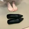 Zapatos de salón de punta fina para mujer con temperamento de brisa nocturna estilo francés, nuevos mocasines casuales slip-on retro coreanos de otoño 2026